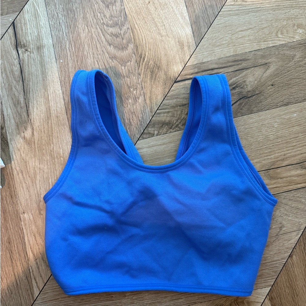 Aerie Blue Sports Bra